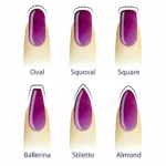 nail shapes